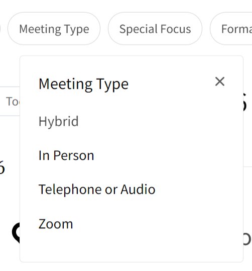 Meeting type filter selection: Hybrid, In Person, Telephone or Audio, Zoom.