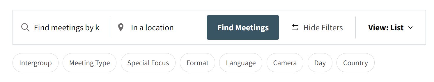 Meeting search/view bar showing the available filters: Intergroup, Meeting Type, Special Focus, Format, Language, Camera, Day, and Country.